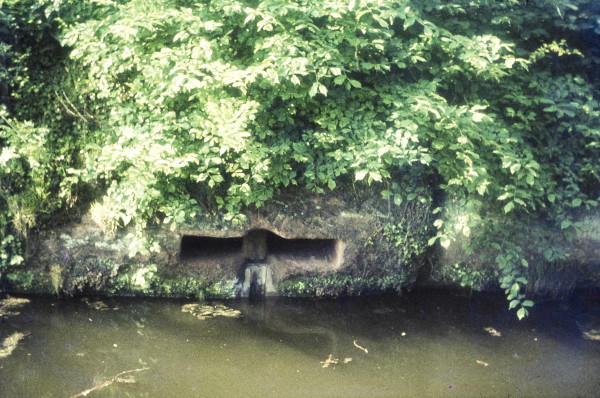 BW197-2-21-26-1 image BW197-2-21-26-1