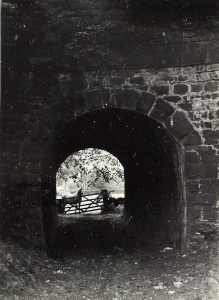 BW200-1-73-26-1 image BW200-1-73-26-1