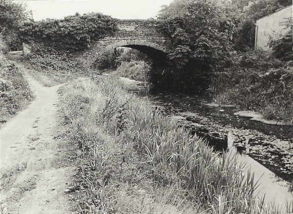 BW200-1-7-1 image BW200-1-7-1