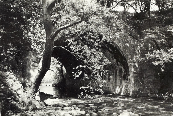 BW200-1-73-7-1 image BW200-1-73-7-1