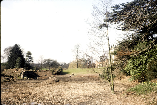 BW197-2-22-17-1 image BW197-2-22-17-1