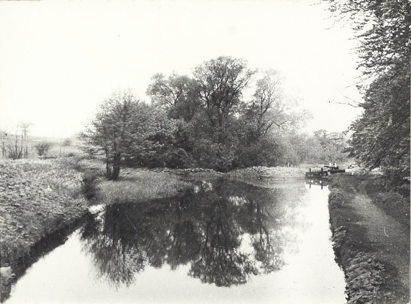 BW200-1-73-17-1 image BW200-1-73-17-1