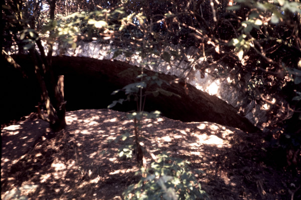 BW197-2-34-27-1 image BW197-2-34-27-1