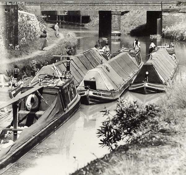 BW200-1-99-57-1 image BW200-1-99-57-1