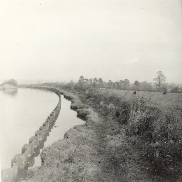 BW192-2-87-1 image BW192-2-87-1