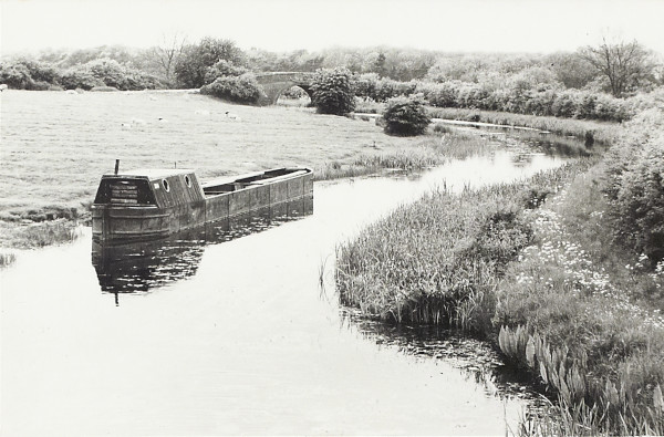 BW200-1-2-8-1 image BW200-1-2-8-1