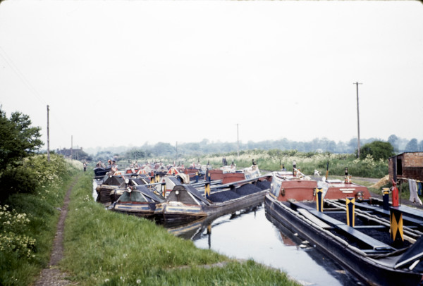 BW197-2-8-1 image BW197-2-8-1