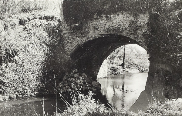 BW200-1-16-8-1 image BW200-1-16-8-1