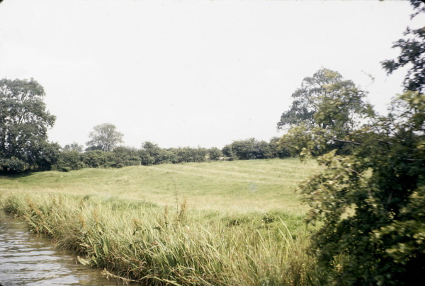 BW197-2-1-48-1 image BW197-2-1-48-1