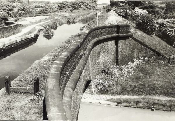 BW200-1-99-58-1 image BW200-1-99-58-1