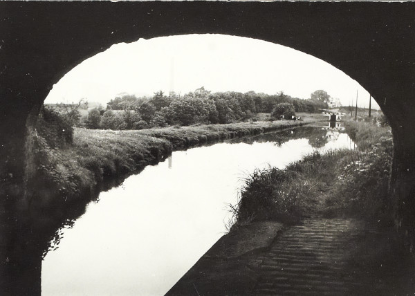 BW200-1-99-68-1 image BW200-1-99-68-1