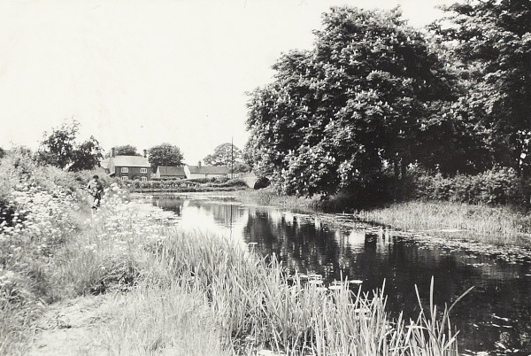 BW200-1-2-9-1 image BW200-1-2-9-1