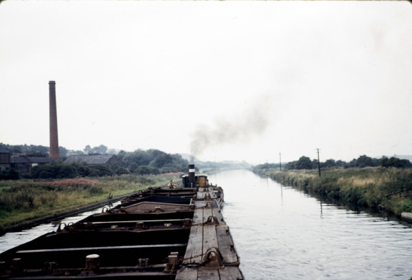 BW197-2-4-9-1 image BW197-2-4-9-1