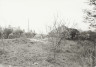 image BW200-1-16-9-1