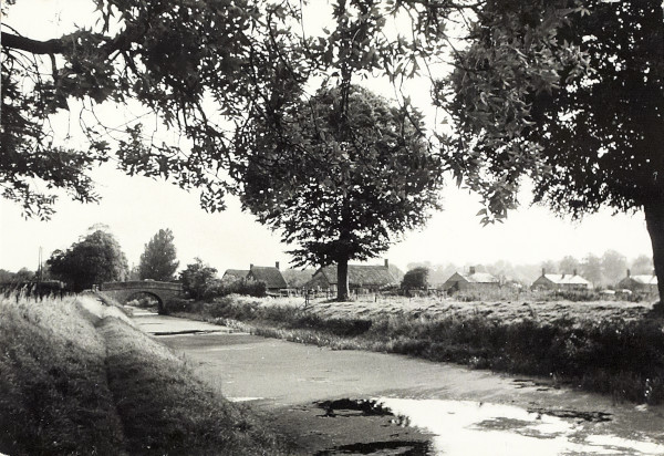 BW200-1-47-9-1 image BW200-1-47-9-1