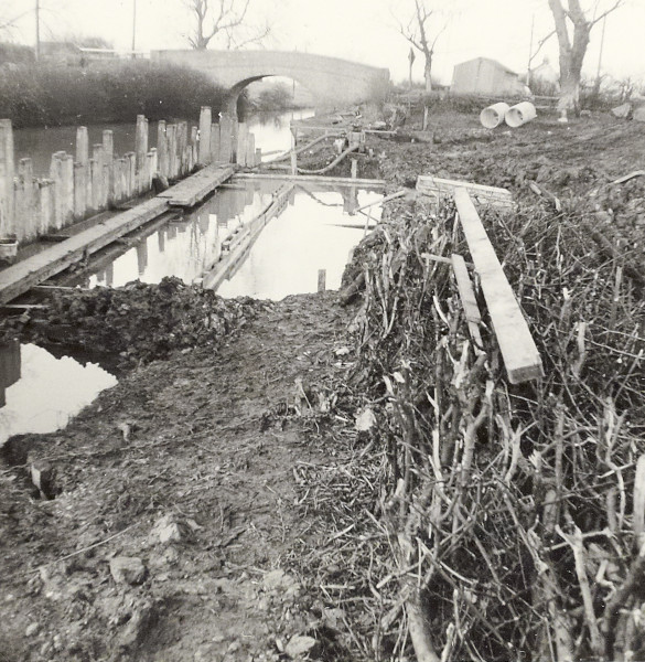 BW192-2-19-1 image BW192-2-19-1