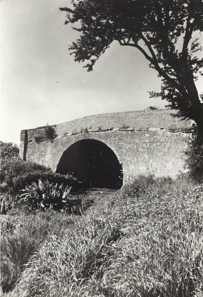 BW200-1-29-1 image BW200-1-29-1