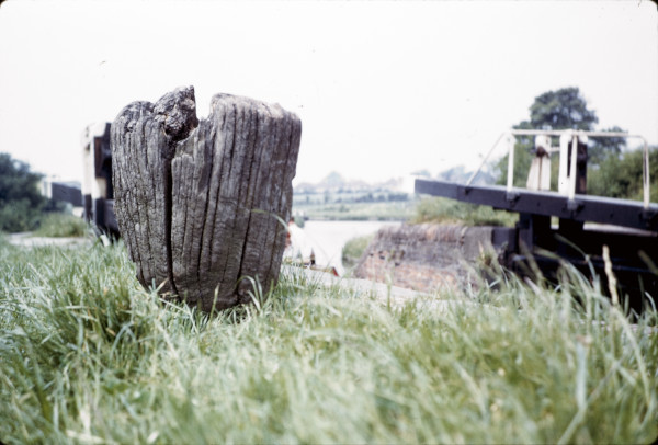 BW197-2-8-29-1 image BW197-2-8-29-1