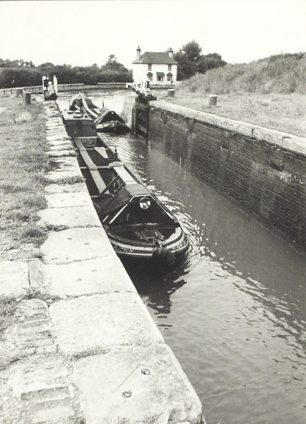 BW200-1-40-59-1 image BW200-1-40-59-1