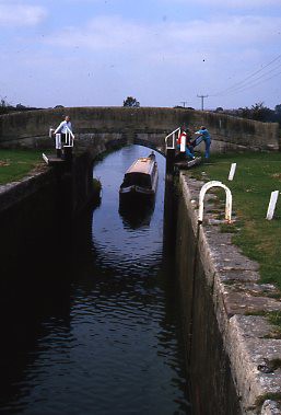 crt_wild_210 image crt_wild_210