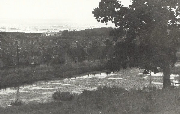 BW200-1-100-11 image BW200-1-100-11