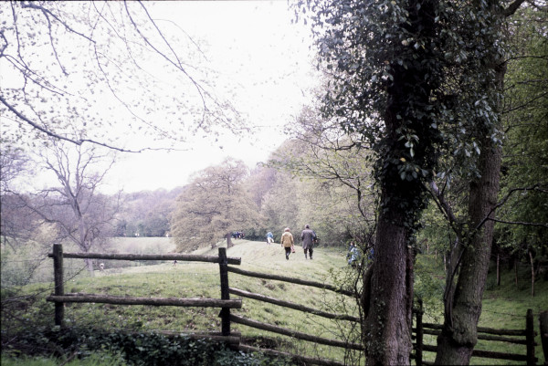 BW197-2-32-1-11 image BW197-2-32-1-11