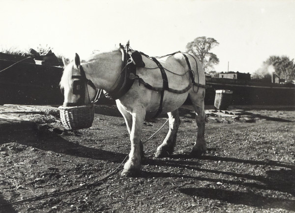 BW200-1-40-31-11 image BW200-1-40-31-11