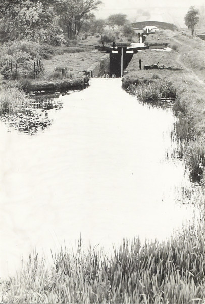 BW200-1-81-11 image BW200-1-81-11