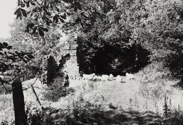 BW192-3-2-5-3-11 image BW192-3-2-5-3-11