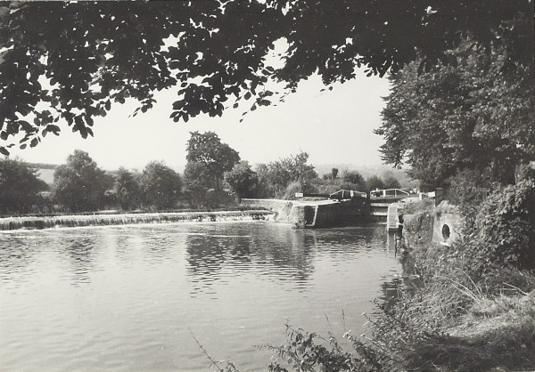 BW200-1-5-6-11 image BW200-1-5-6-11