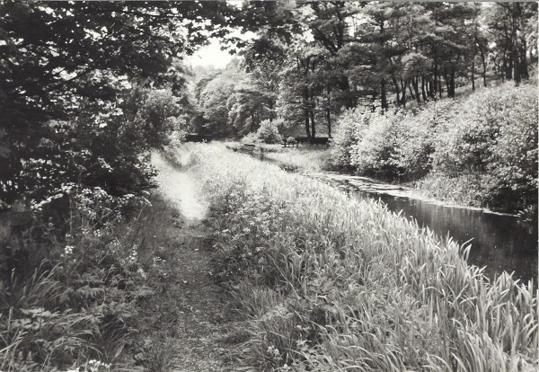 BW200-1-27-11 image BW200-1-27-11