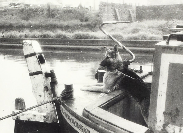 BW200-1-99-87-11 image BW200-1-99-87-11