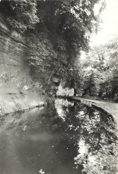 BW200-1-89-29-11 image BW200-1-89-29-11
