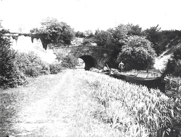 R0211 image R0211