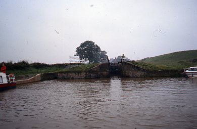 crt_wild_101 image crt_wild_101