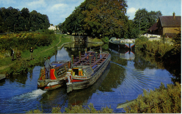 20022_0739 image 20022_0739