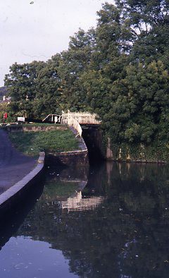 crt_wild_220 image crt_wild_220