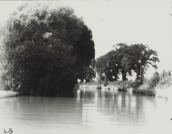 BW192-3-2-2-13-1-21 image BW192-3-2-2-13-1-21