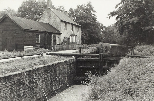 BW200-1-7-21 image BW200-1-7-21