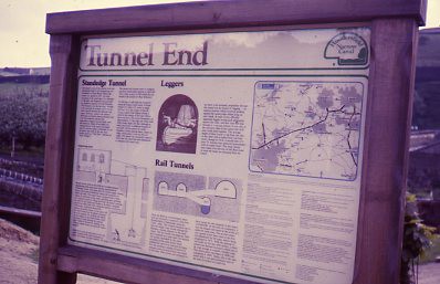 crt_wild_176 image crt_wild_176