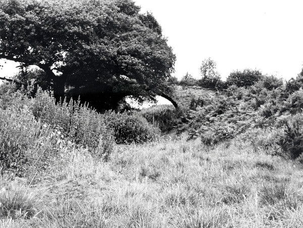 R0421 image R0421