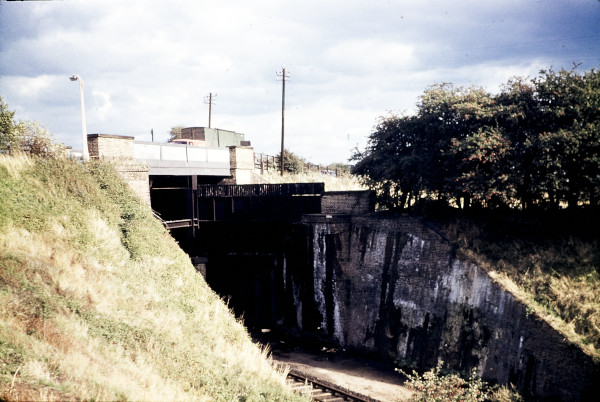 BW197-2-1-31 image BW197-2-1-31