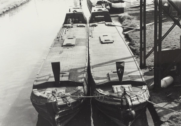 BW192-3-2-2-2-31 image BW192-3-2-2-2-31