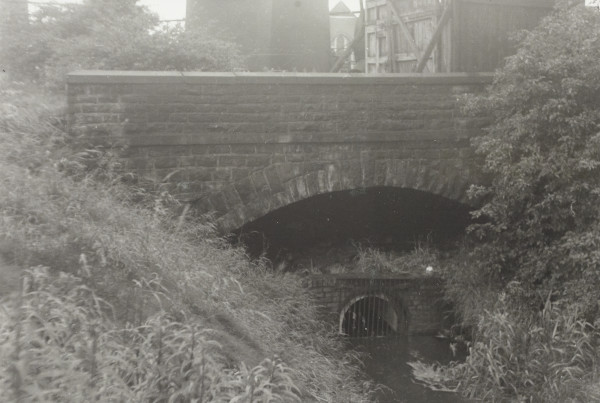 BW192-3-2-1-13-31 image BW192-3-2-1-13-31