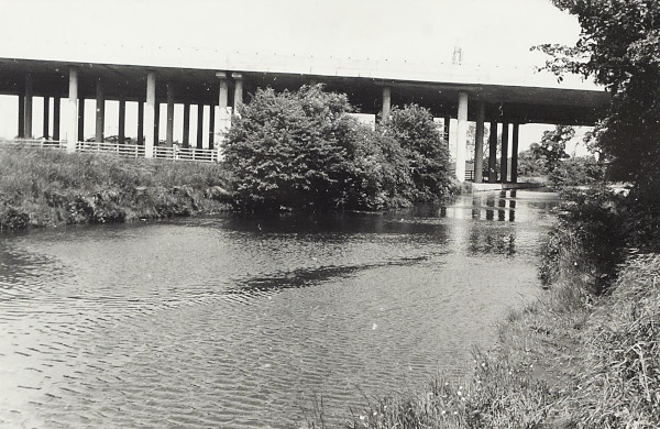 BW200-1-26-31 image BW200-1-26-31