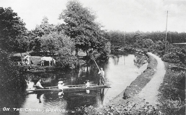 R0131 image R0131