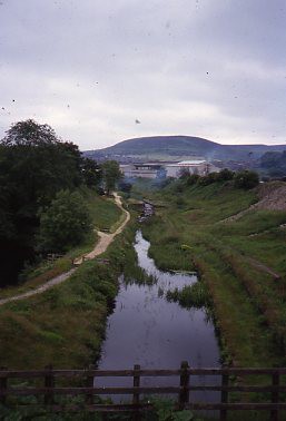 crt_wild_186 image crt_wild_186