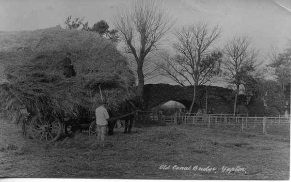 20022_0711 image 20022_0711