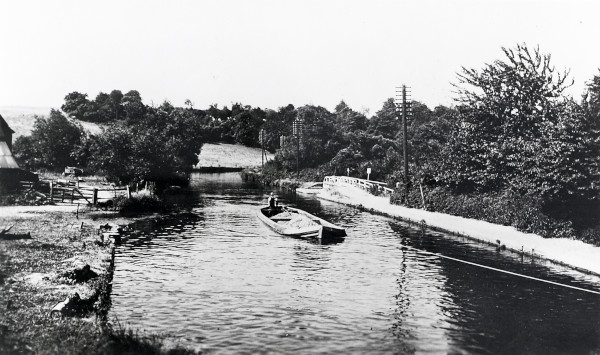 R0731 image R0731