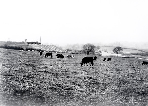 R0931 image R0931
